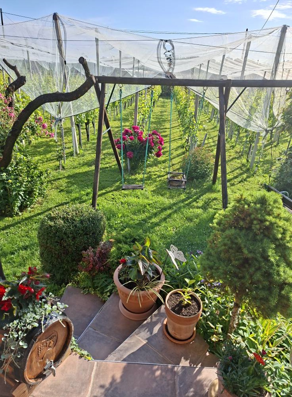 varazdinske_toplice_vinarija_najman_17072025_3.jpg