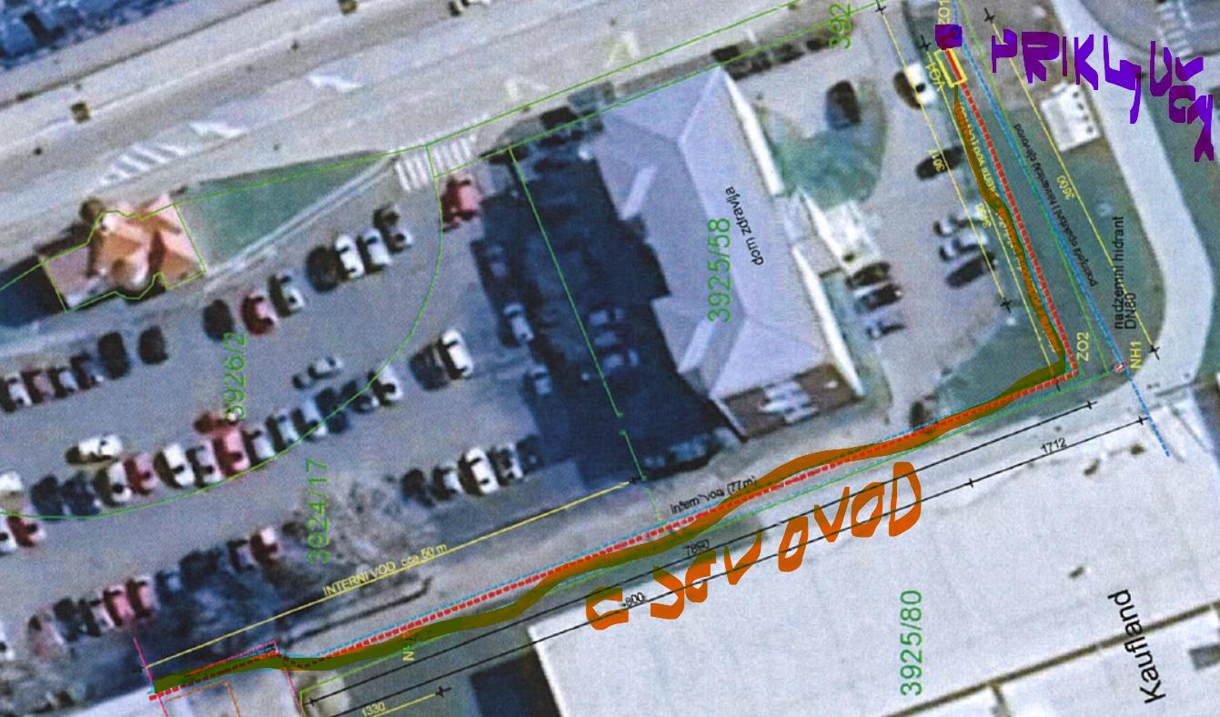 image3.jpeg