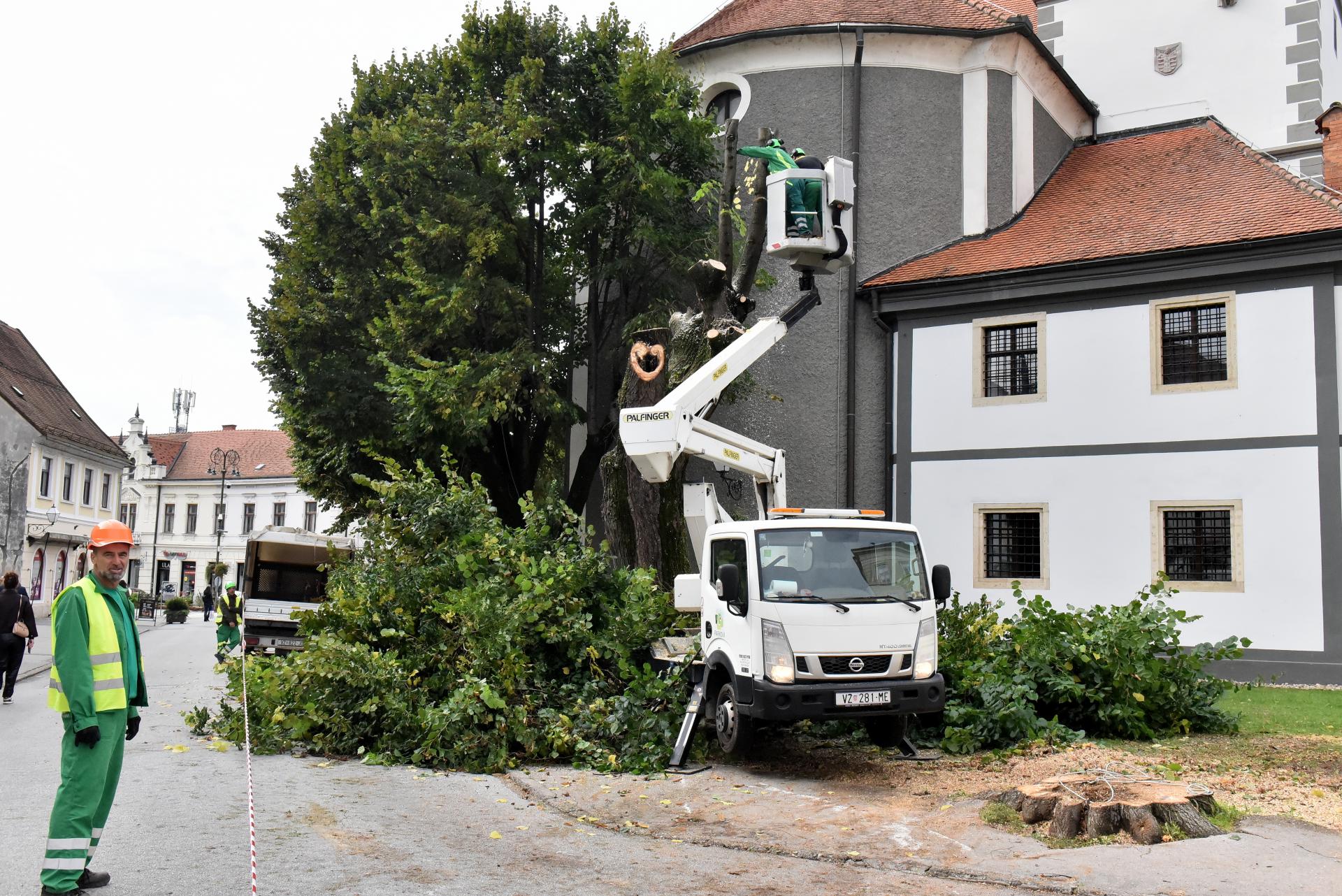 trg_slobode_varazdin_rusenje_lipa_06102025_1.jpg