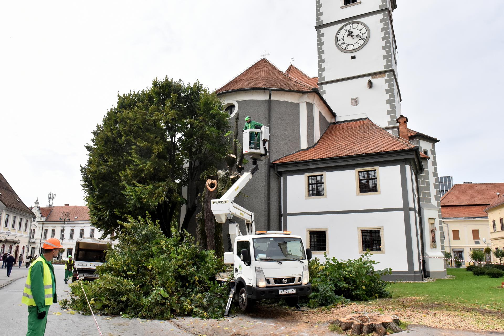 trg_slobode_varazdin_rusenje_lipa_06102025_2.jpg