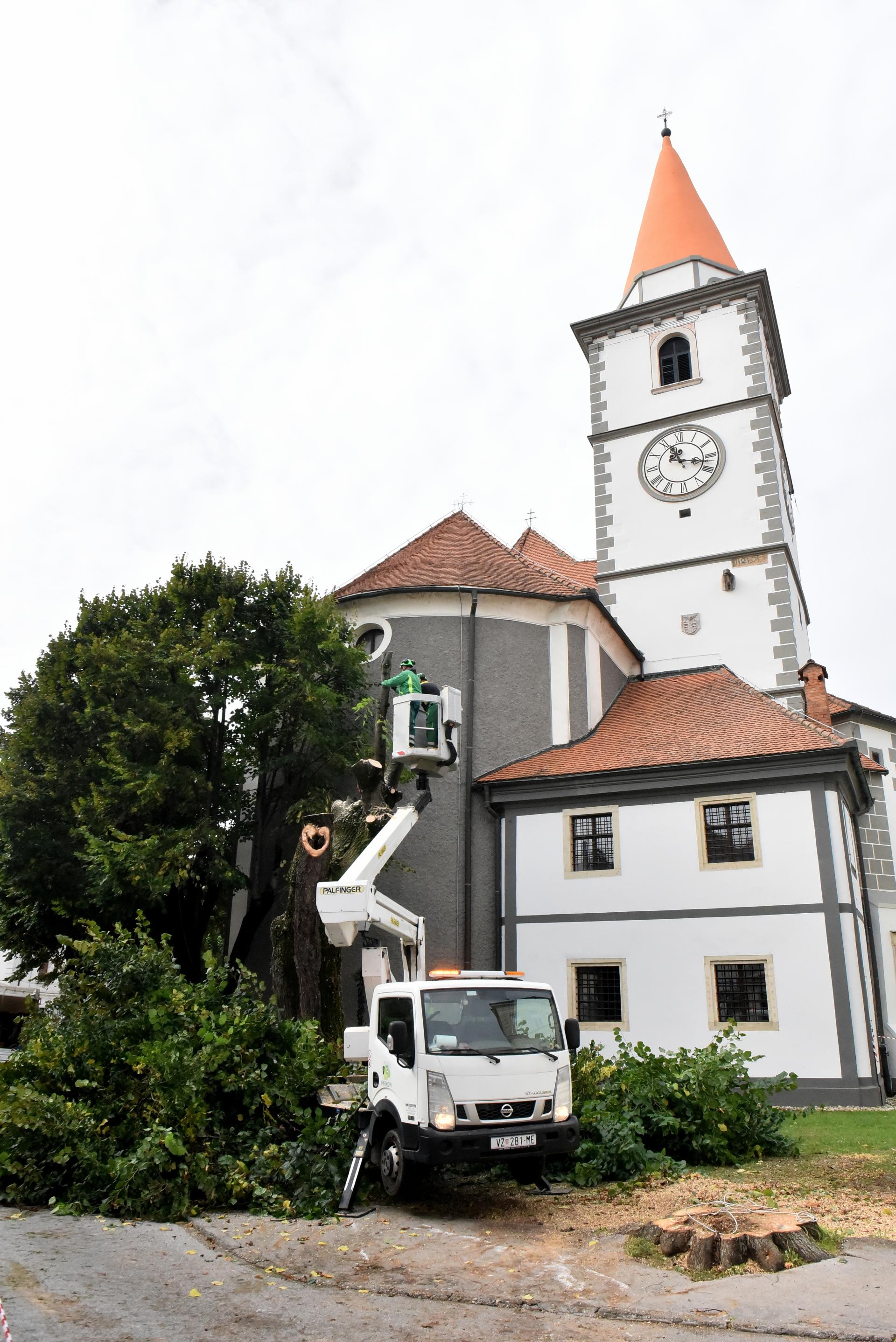 trg_slobode_varazdin_rusenje_lipa_06102025_3.jpg