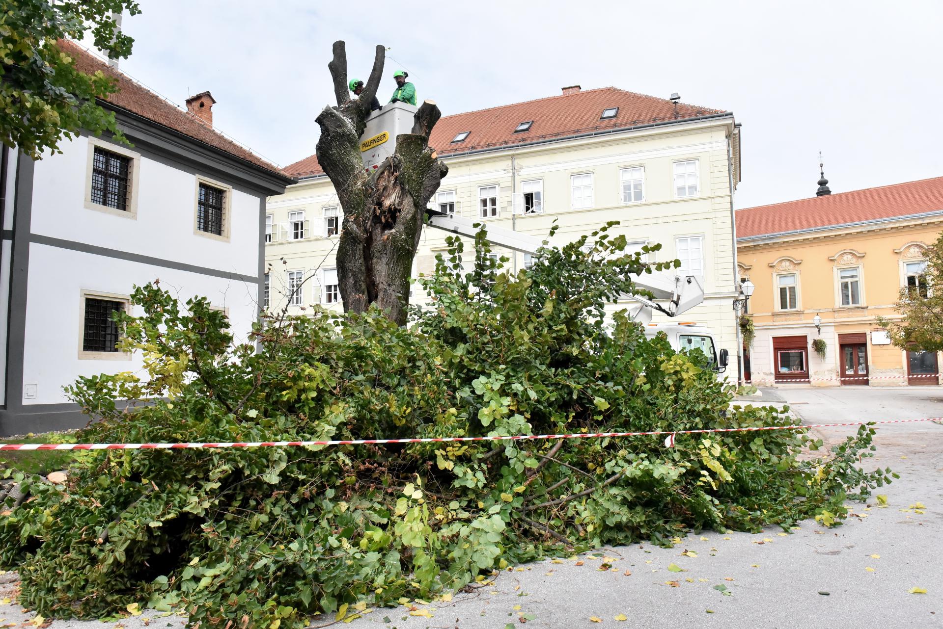trg_slobode_varazdin_rusenje_lipa_06102025_5.jpg