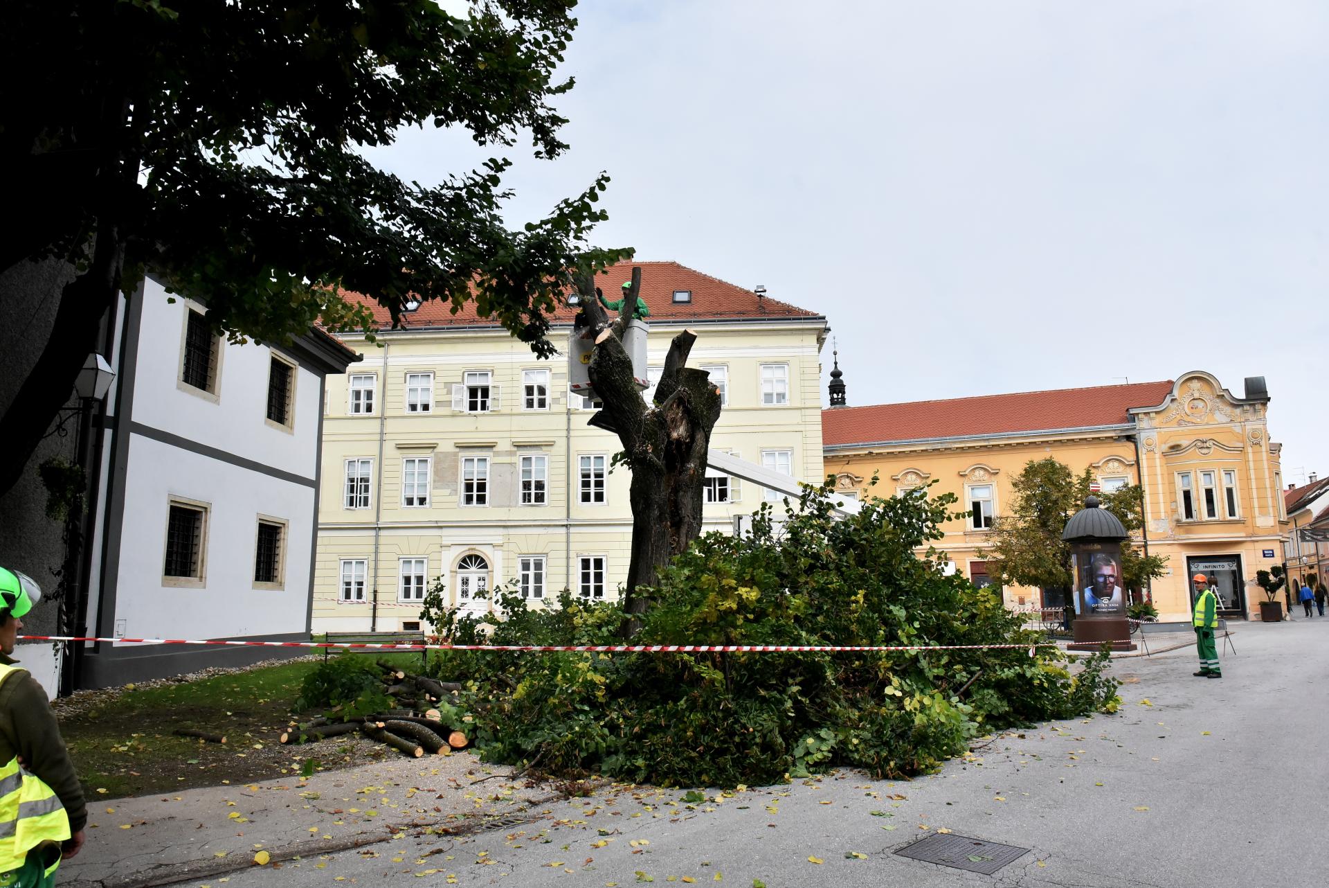 trg_slobode_varazdin_rusenje_lipa_06102025_6.jpg