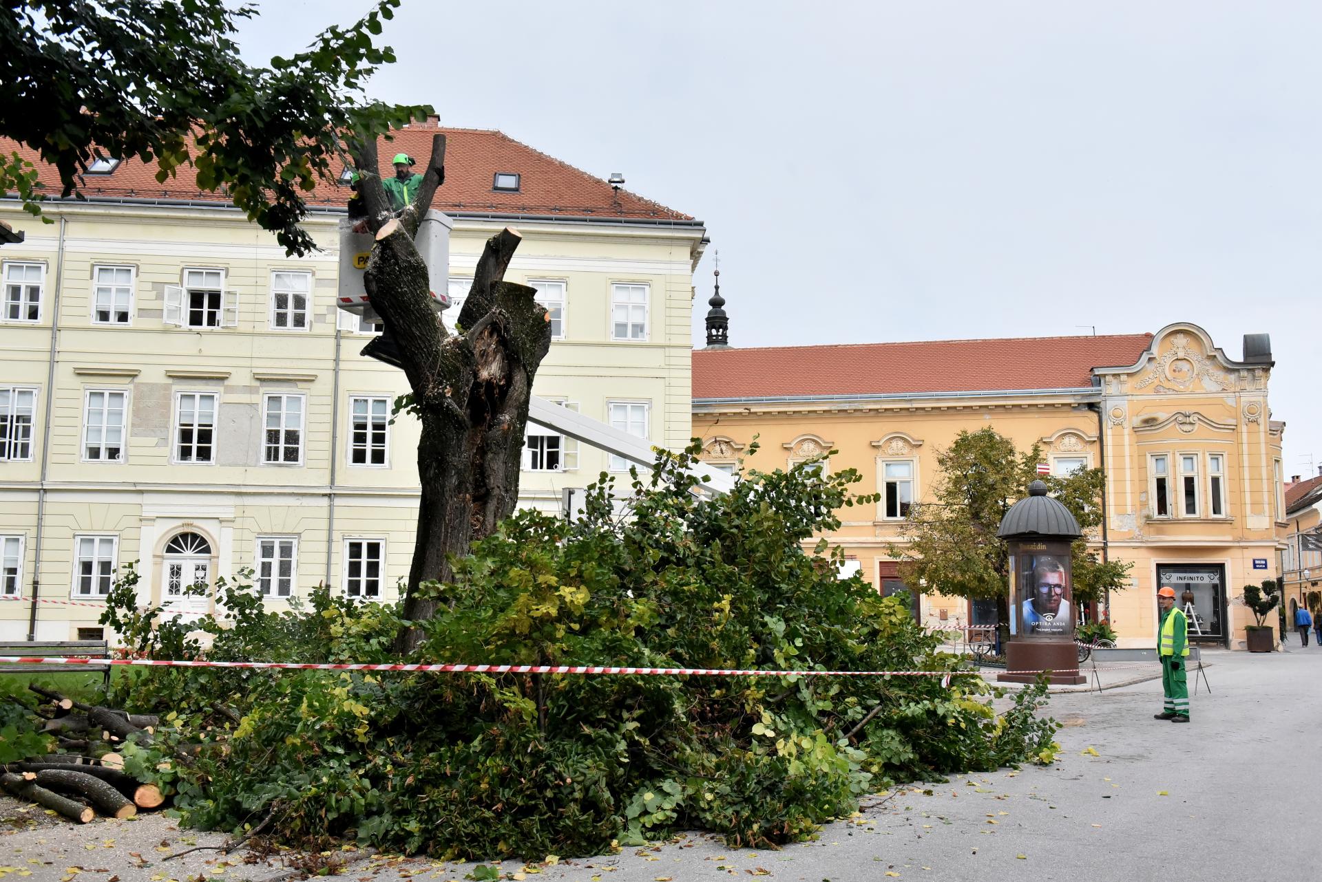 trg_slobode_varazdin_rusenje_lipa_06102025_7.jpg