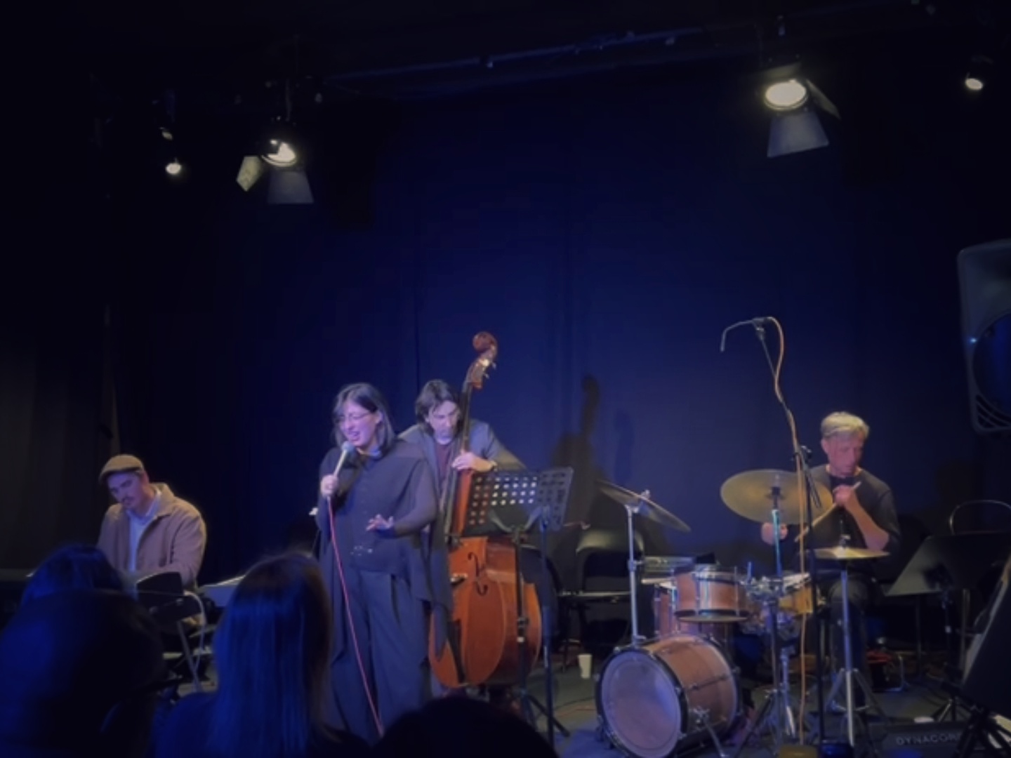 Mini_Gllugl_jazz_festival_Dora_Pretkovic_Quartet.jpeg