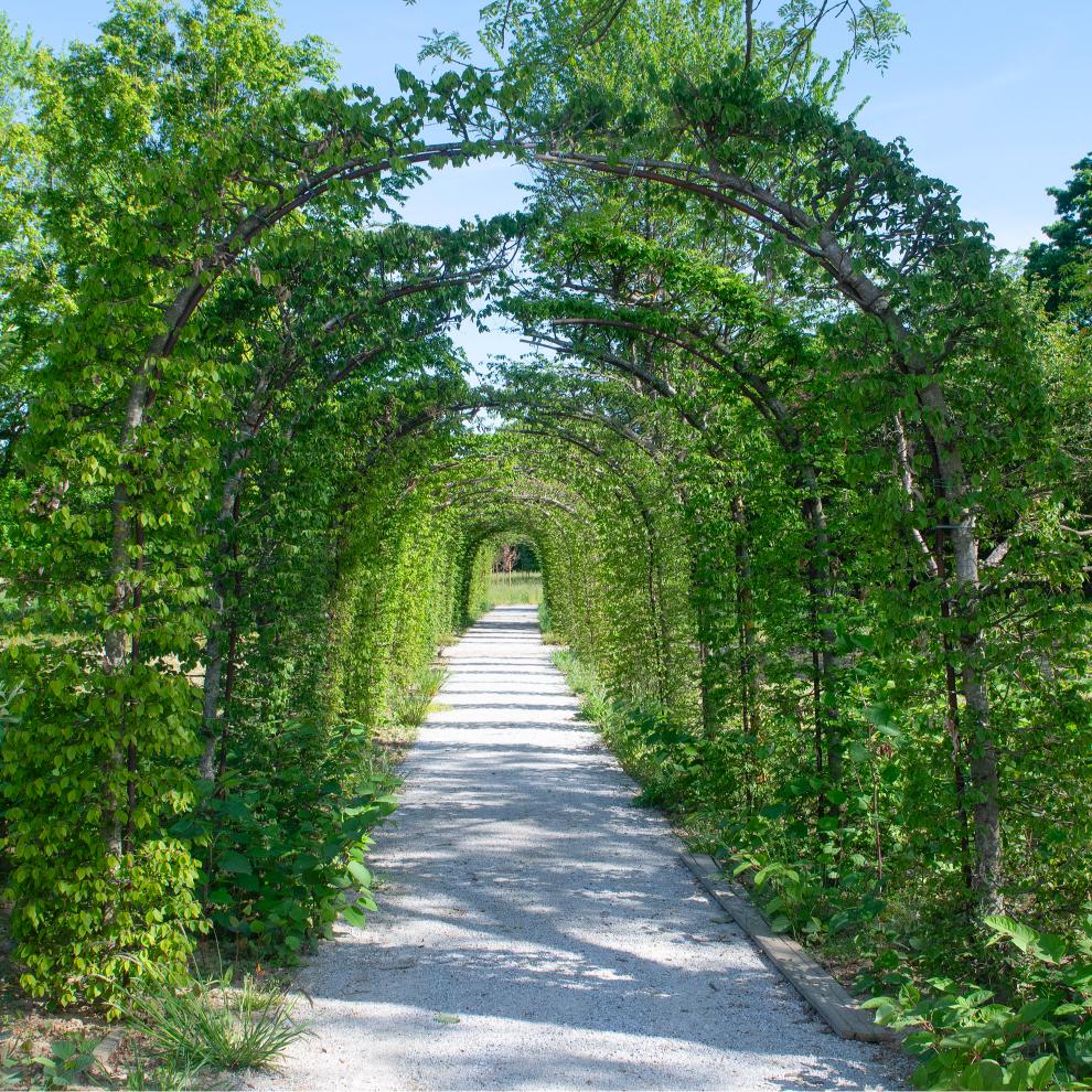 arboretum_08052026_10_photocopyright_by_darko_gorenak_godar.jpg