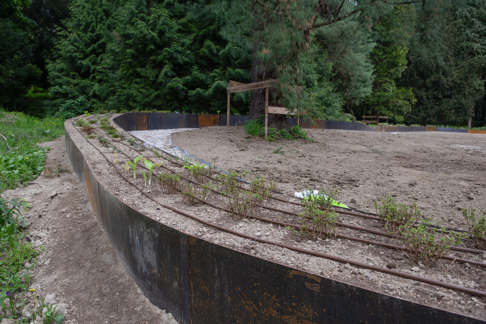 arboretum_29042026_21_photocopyright_by_darko_gorenak_godar.jpg