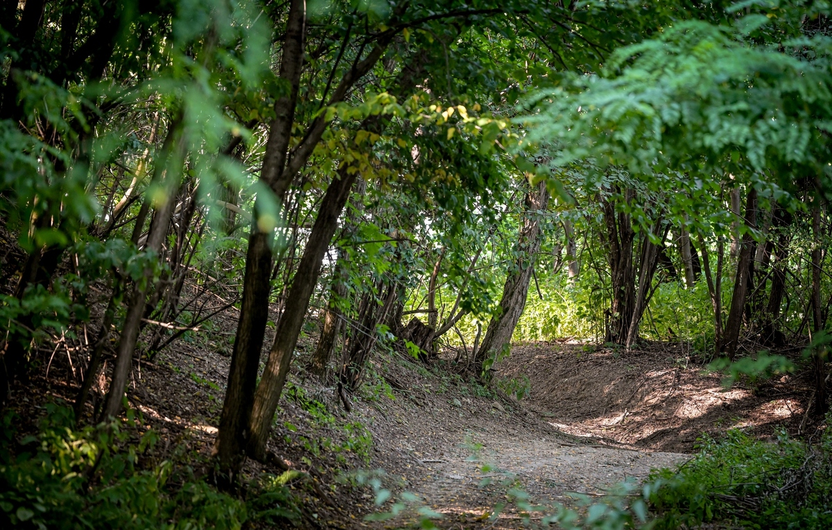 Arheoloski_lokalitet_Kalnik_31072026_12.jpg
