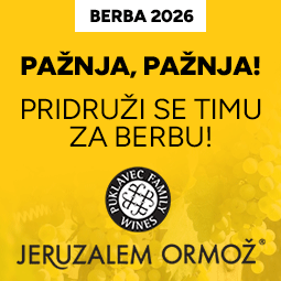 Jeruzalem Ormož berba