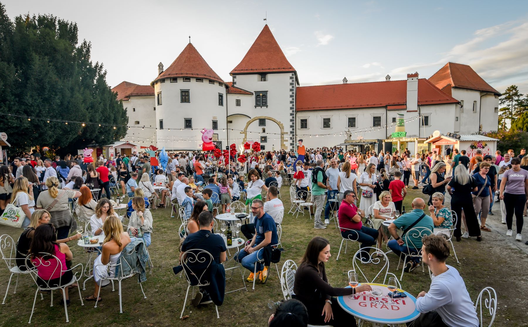 VINSKI_GRAD.jpg